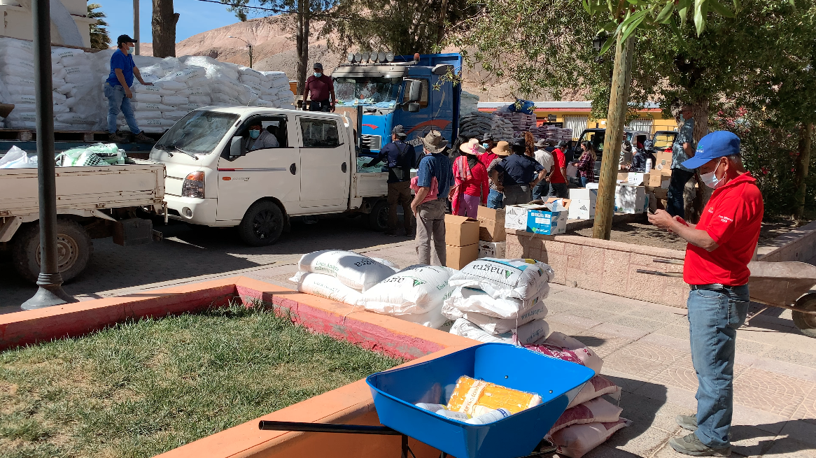 Agricultores de Camiña reciben insumos para sus labores agrícolas
