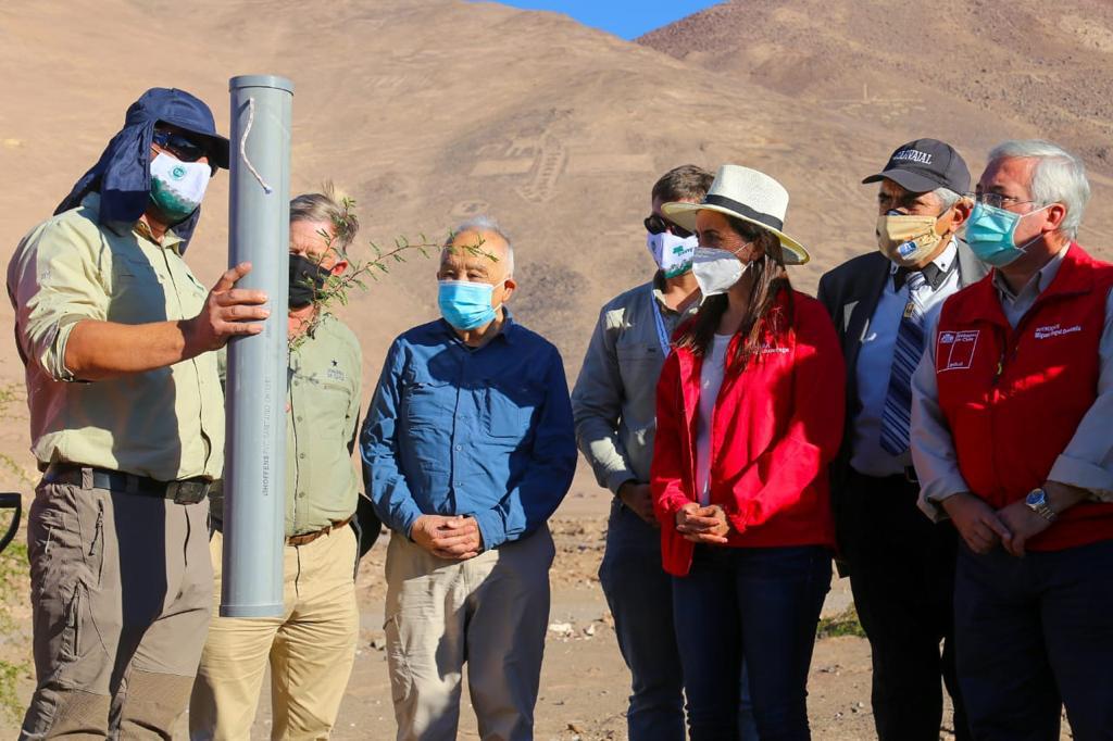 Ministra de Agricultura recibió libro de postulación de Geoglifos de Pintados como Patrimonio de la Humanidad
