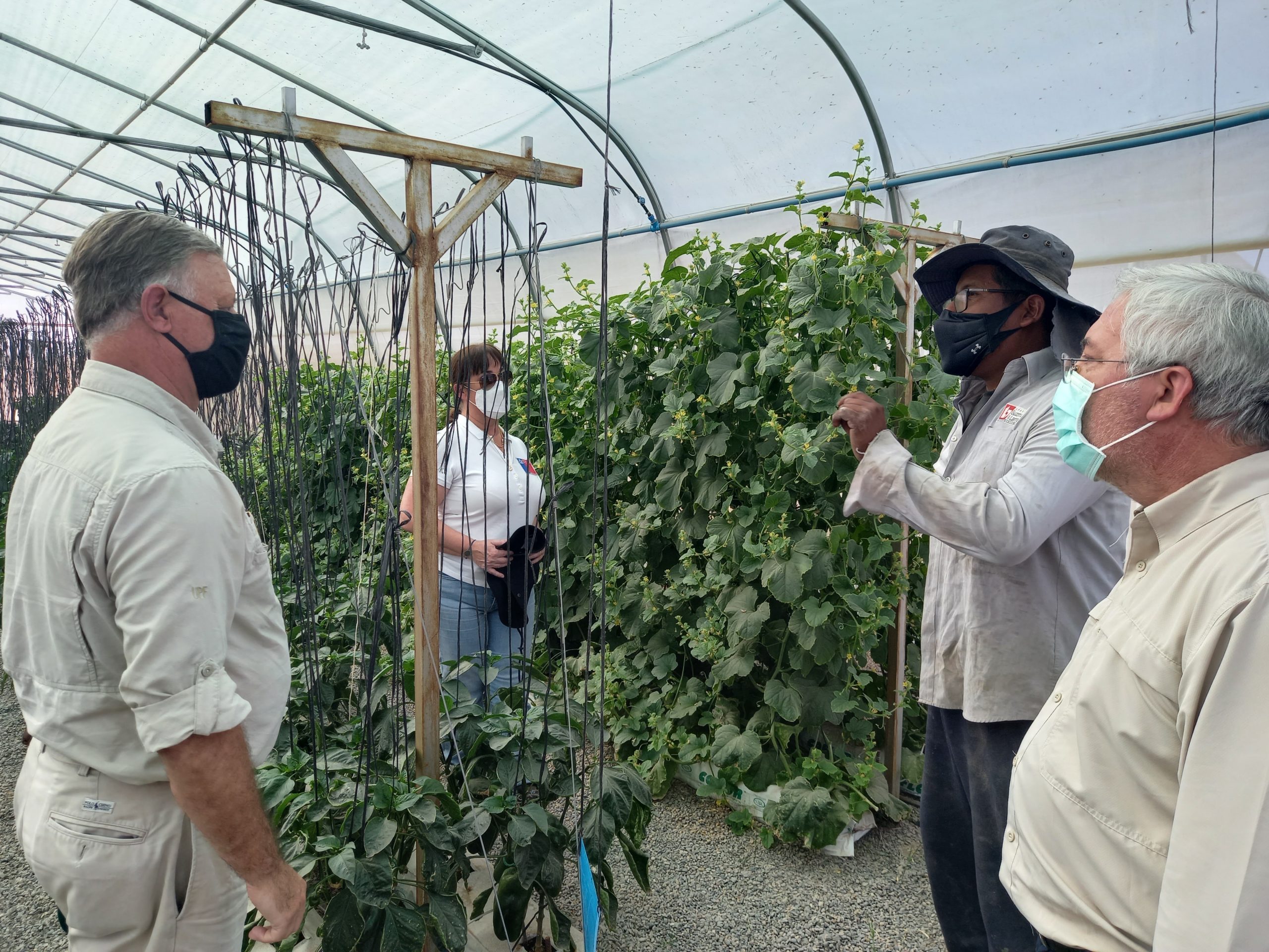 Bienes Nacionales regularizó tenencia de la tierra a 30 agricultores de Bajo Soga
