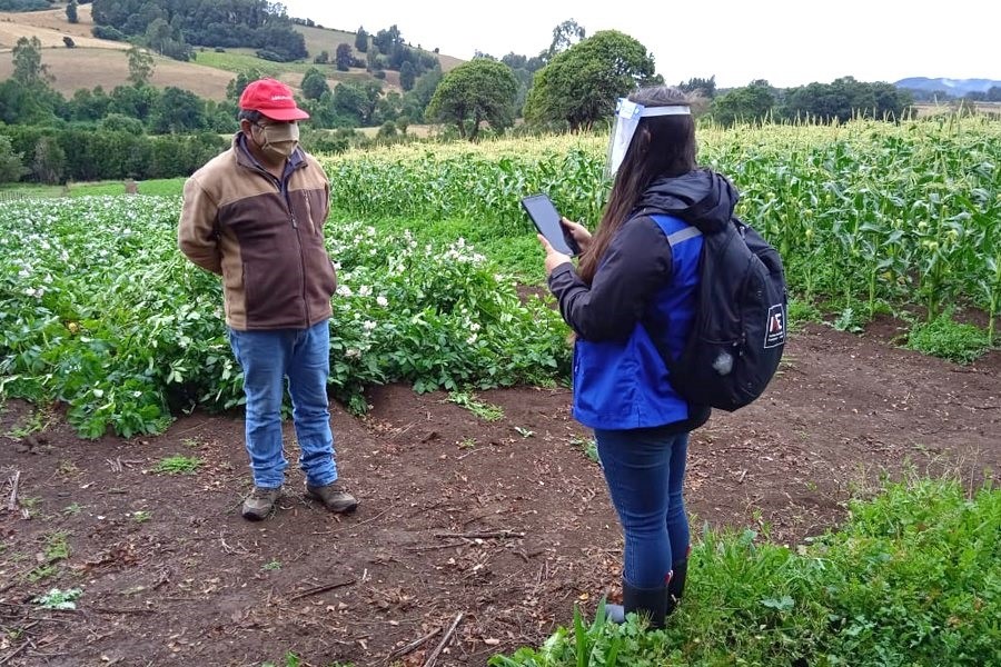 VIII Censo Nacional Agropecuario y Forestal agradece a productores silvoagropecuarios por alta tasa de respuesta 