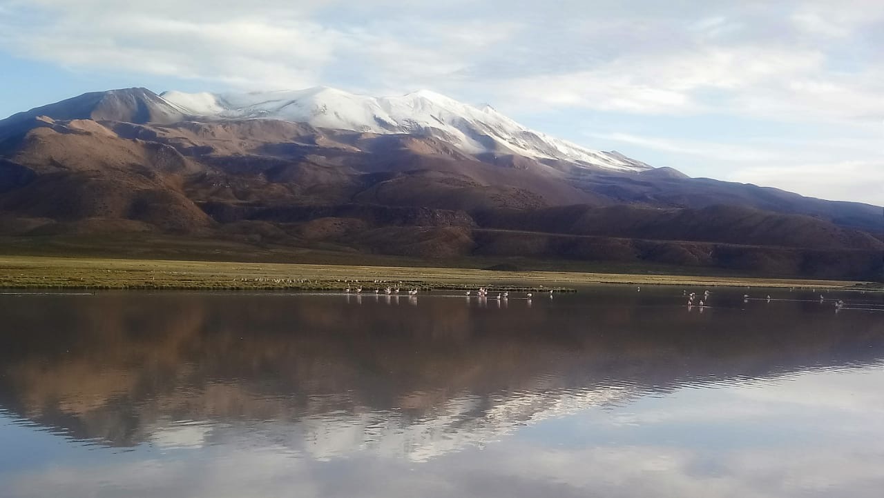 CONAF llama a informarse antes visitar los parques nacionales