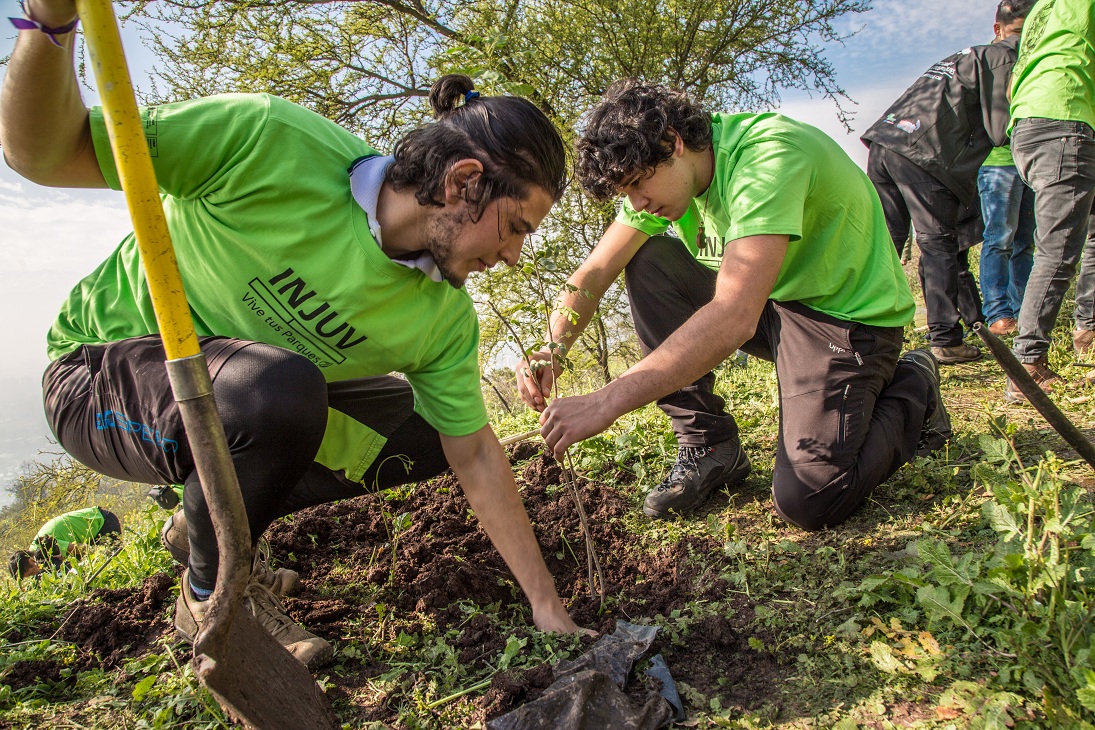 CONAF Tarapacá: Programa Vive Tus Parques convoca a talleres virtuales sobre voluntariado en parques nacionales