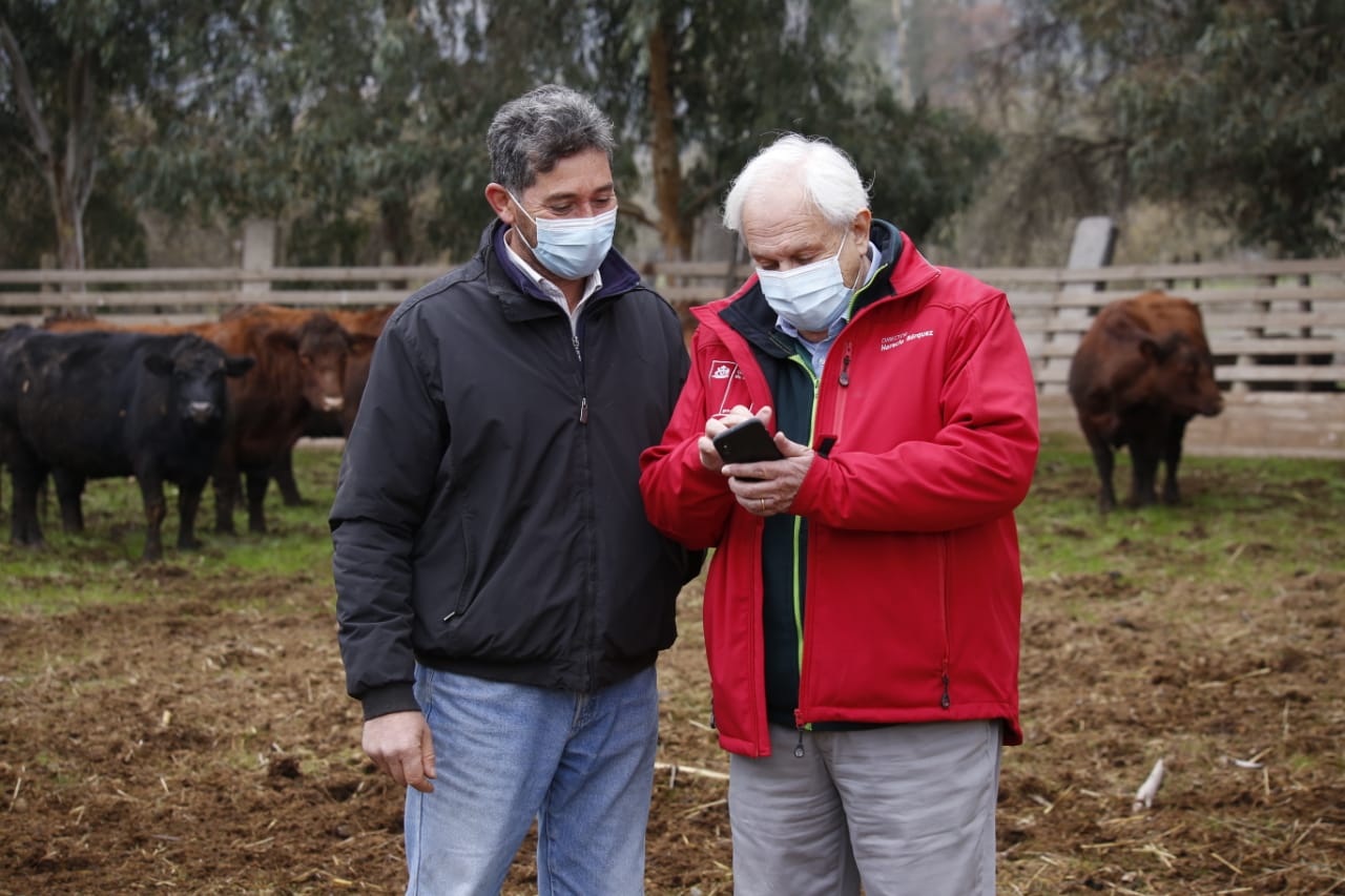 SAG lanza aplicación SIPEC móvil para gestionar la trazabilidad desde el celular
