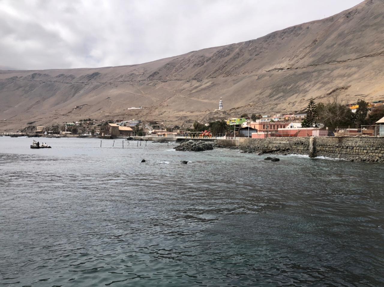 Seremi de Economía se reúne en Pisagua con representantes de la pesca artesanal y del turismo