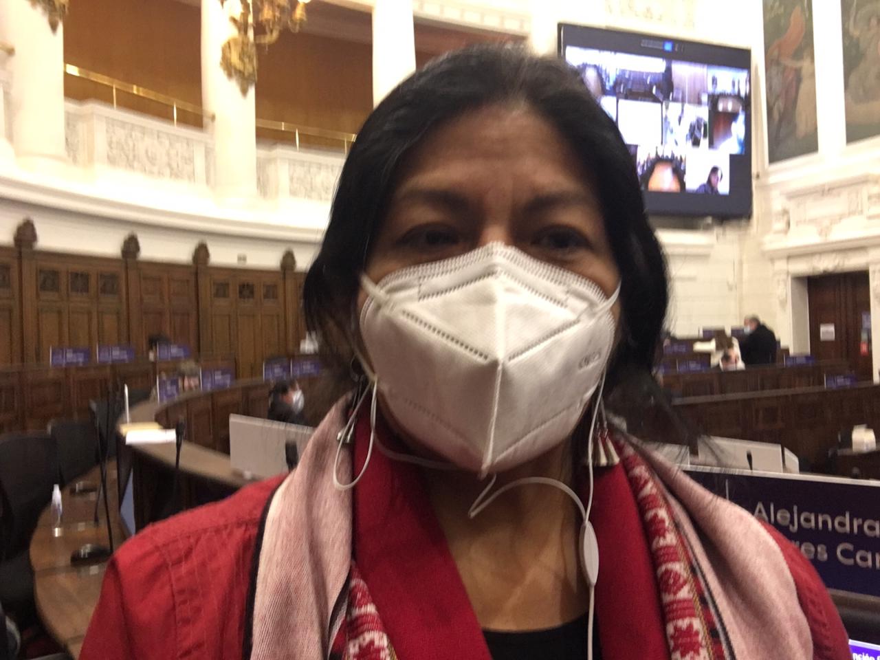 Constituyente Alejandra Flores critica posturas partidarias sobre mecanismos de elección