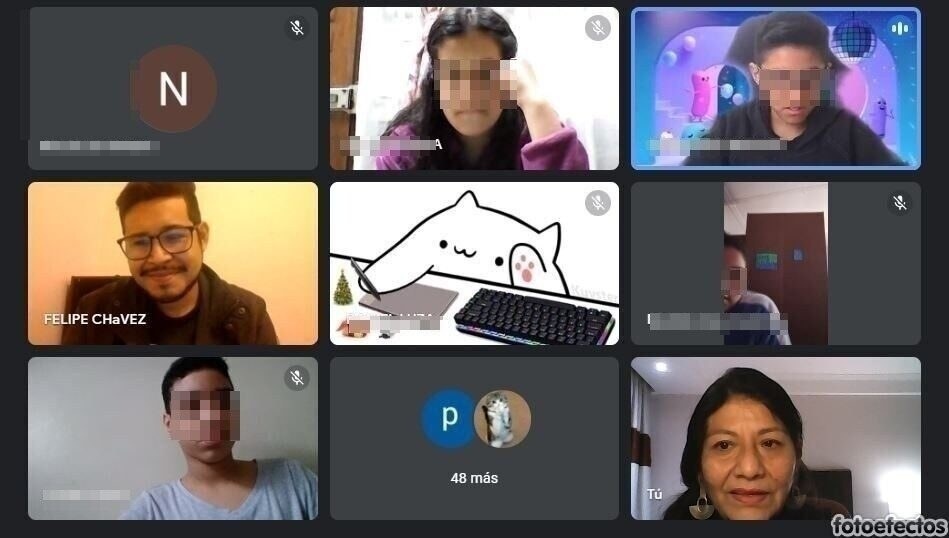 Constituyente Alejandra Flores participó con alumnos de Escuela “Eduardo Llanos” sobre organización del Estado y Constitución