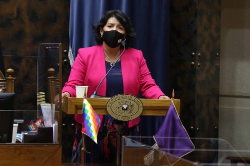 Yasna Provoste lanza candidatura presidencial: «Chile se hace desde las regiones»