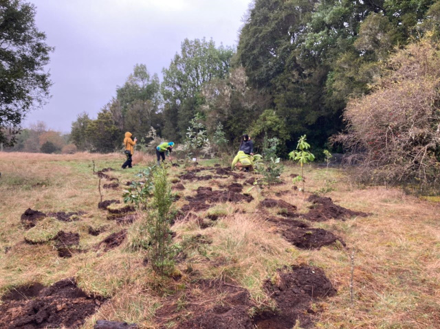 En línea con sus compromisos de sostenibilidad: SQM avanza en carbono neutralidad en su transporte nacional