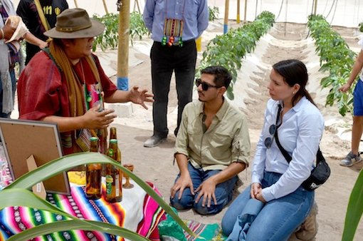 Hasta el 13 de agosto se puede postular a financiamiento para Talleres de Aprendizaje de Lenguas Originarias