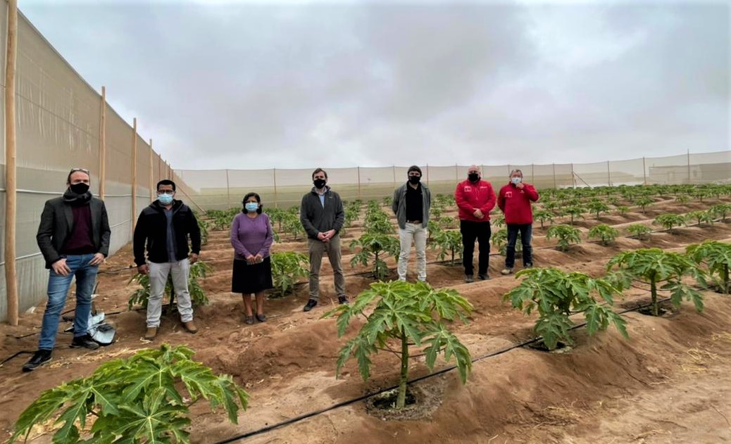 Lanzan en Arica programa tecnológico para potenciar la agricultura en zonas desérticas