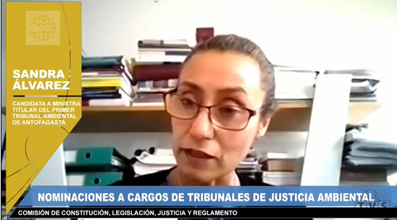 Senado aprueba nombramiento de Sandra Álvarez como nueva ministra titular abogada del Primer Tribunal Ambiental