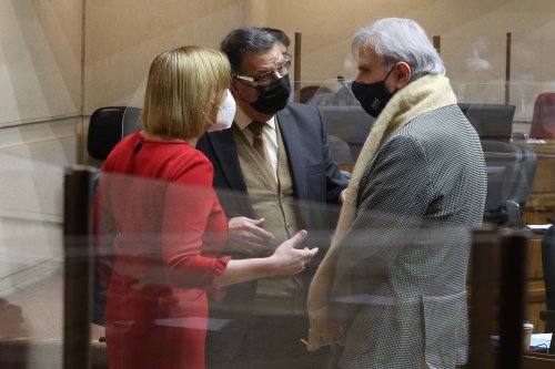 Quieren declarar la obesidad como una enfermedad y darle cobertura a prestaciones de salud