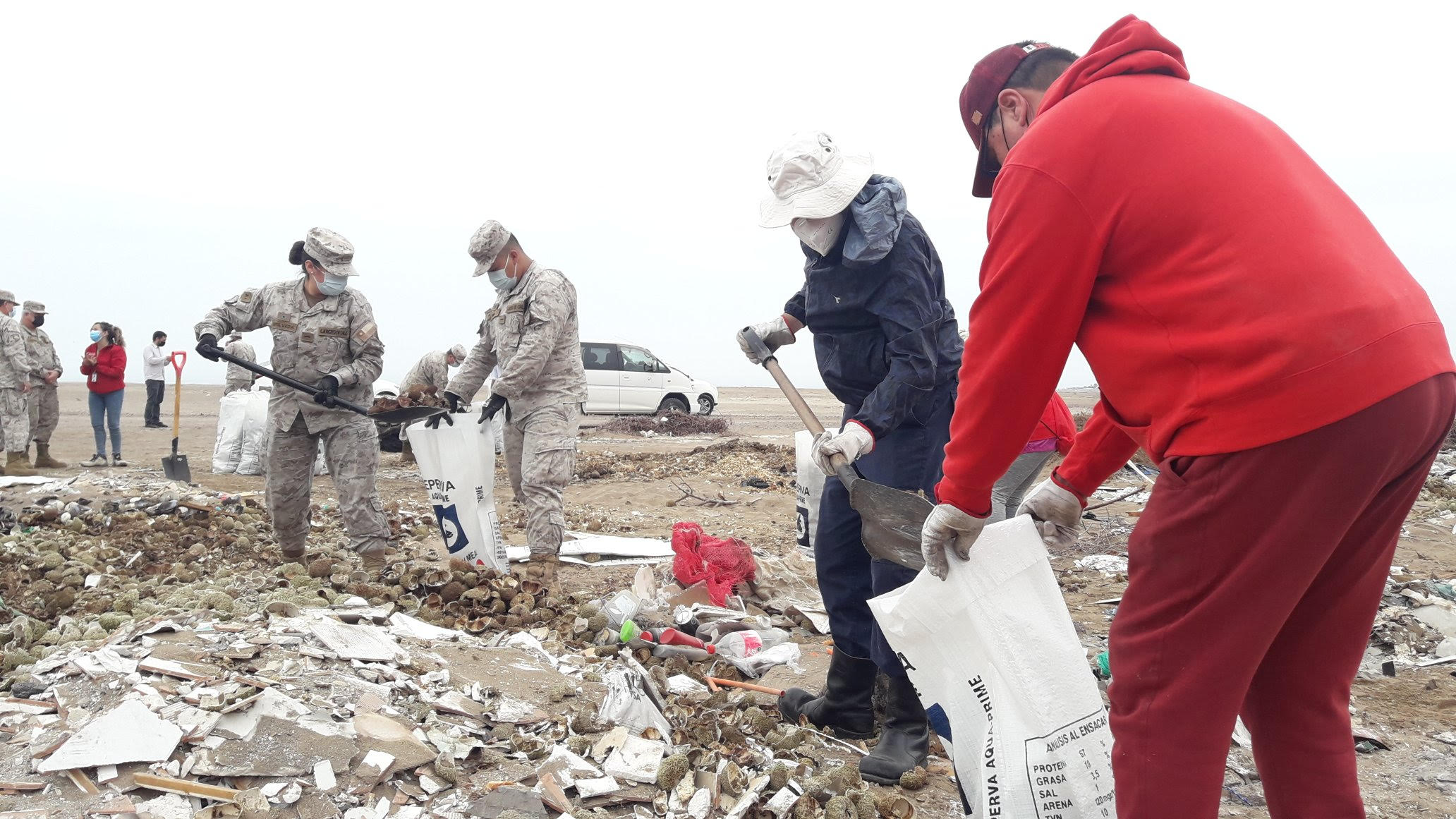VI División de Ejército y Seremi de Medio Ambiente retiraron 15 toneladas de micro basural clandestino