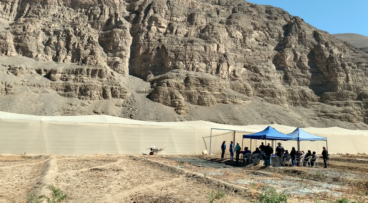 Productiva jornada de campo tuvieron agricultores de Camiña
