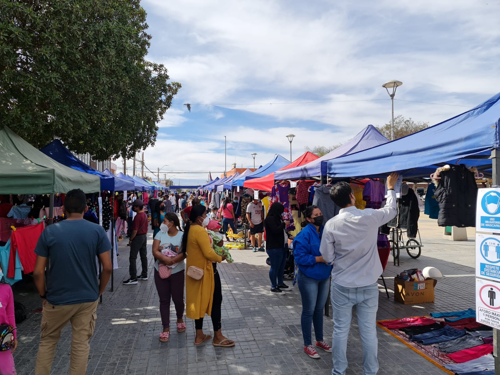 Fomento Productivo de Municipalidad de Pozo Almonte invita a participar en Venta Social de Las Pulgas