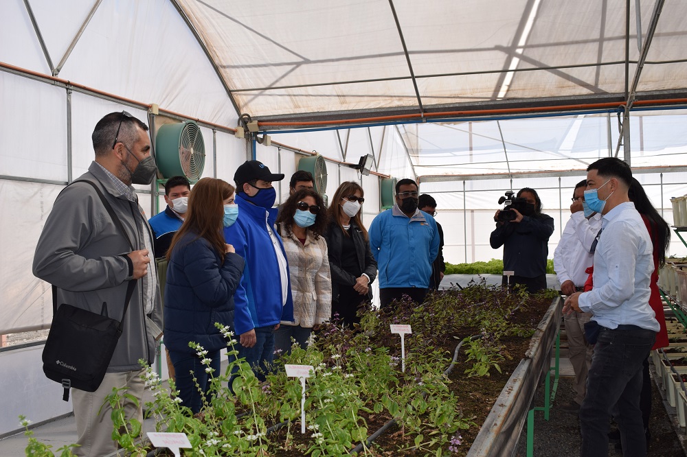 Comitiva de la UNAP junto al alcalde de Pozo Almonte conocieron realidad comunal y de la provincia del Tamarugal