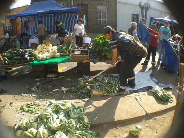 Buscan ideas innovadoras para reciclar residuos orgánicos que se generan en ferias libres