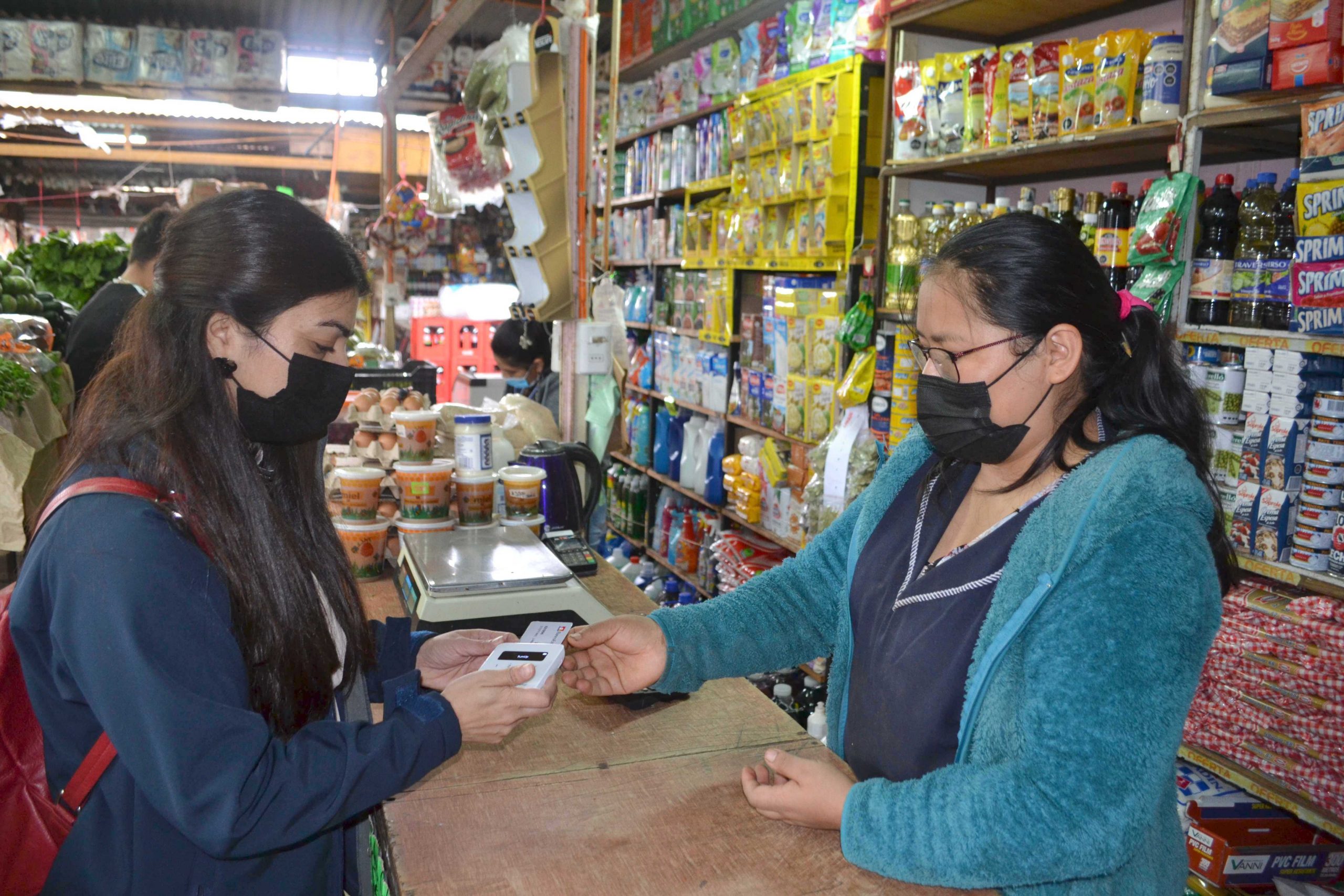 Prodemu Tarapacá: 700 mujeres feriantes recibieron dispositivo para pagar electrónicamente