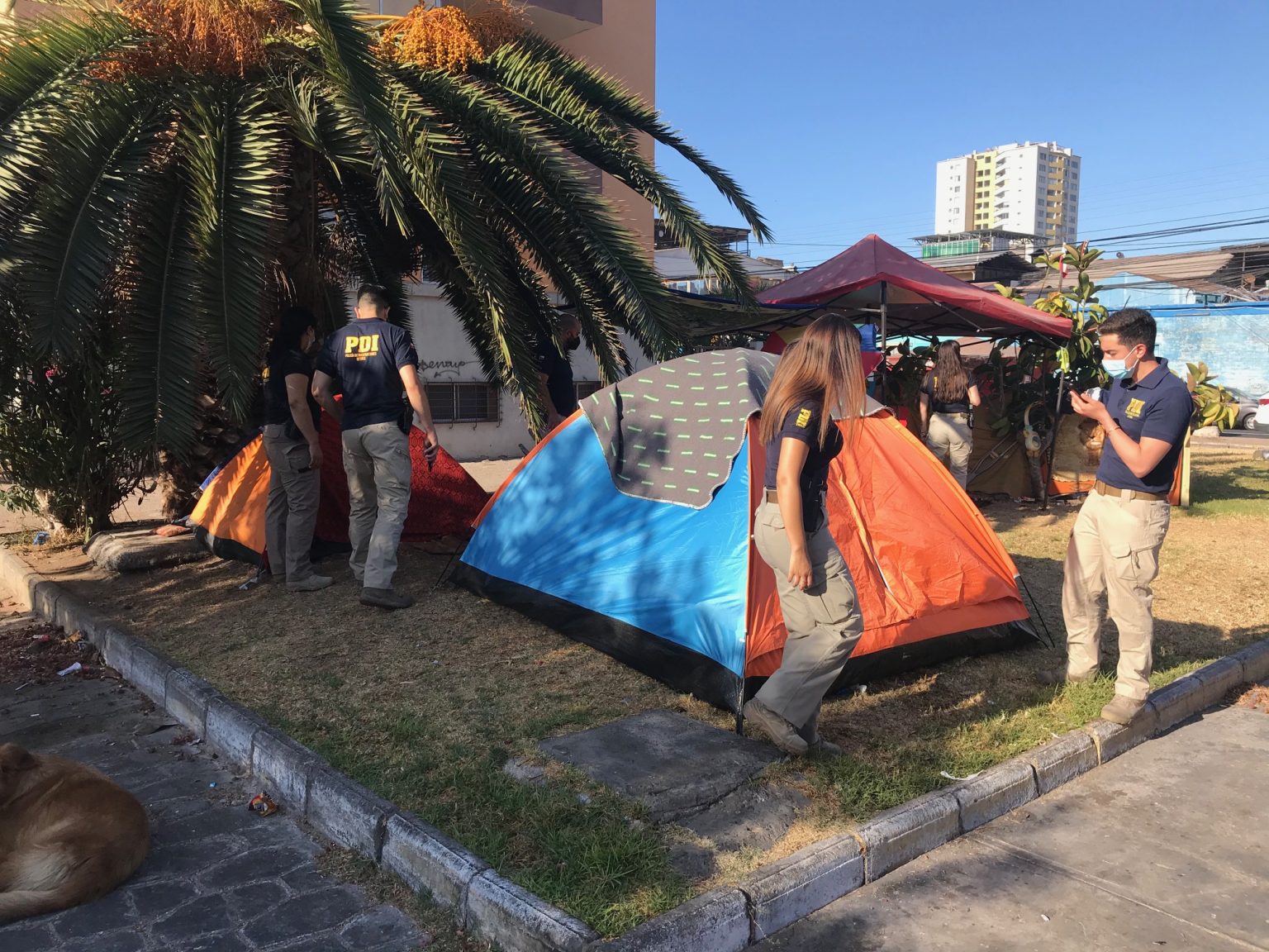 Ingreso por paso no habilitado en 2021 llega a su máximo histórico