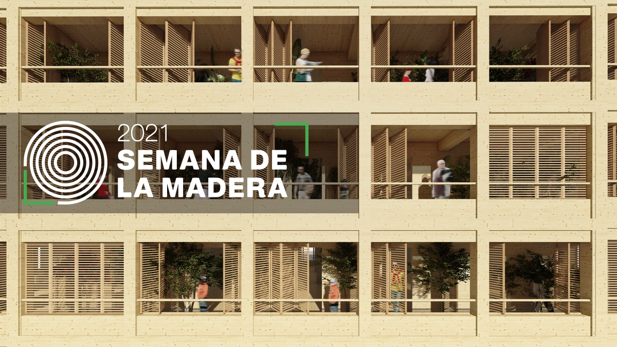 Bosques y madera, las claves para que Chile logre un desarrollo sustentable y bajo en emision