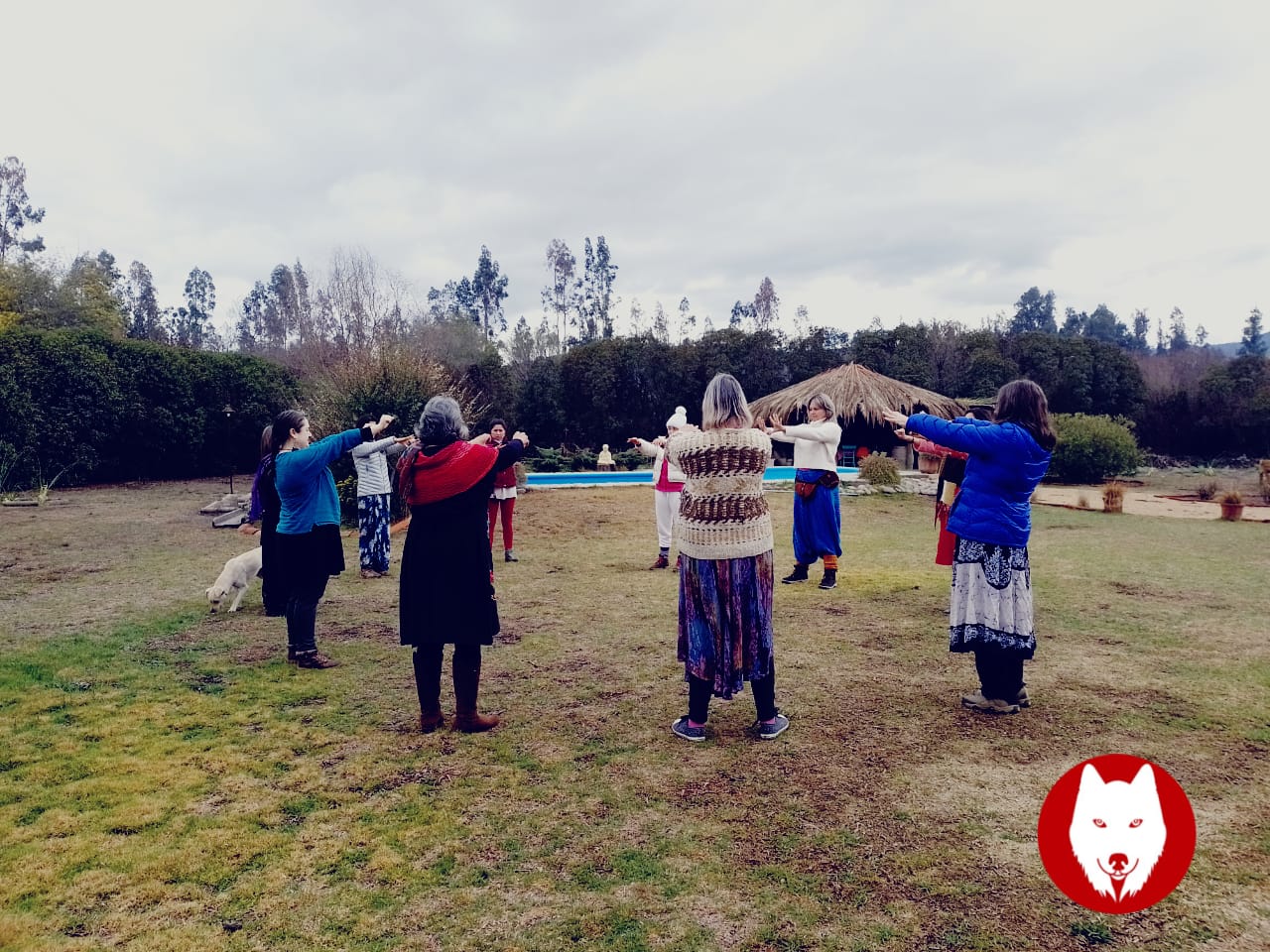 Encuentro Clan de Lobas Antofagasta: En lo profundo del desierto lo femenino brilla
