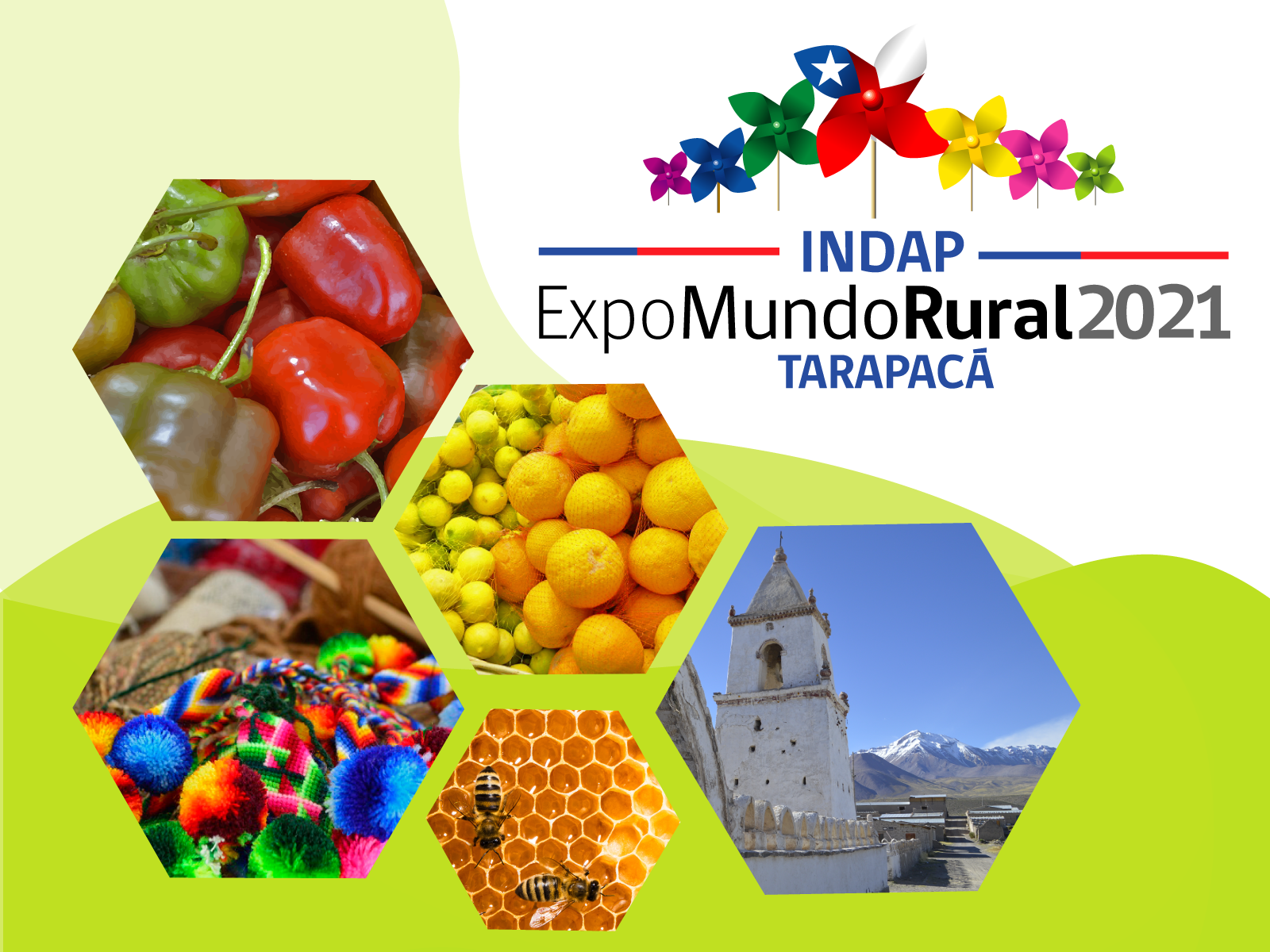 INDAP: Se abrieron las postulaciones para la Expomundo Rural Tarapacá
