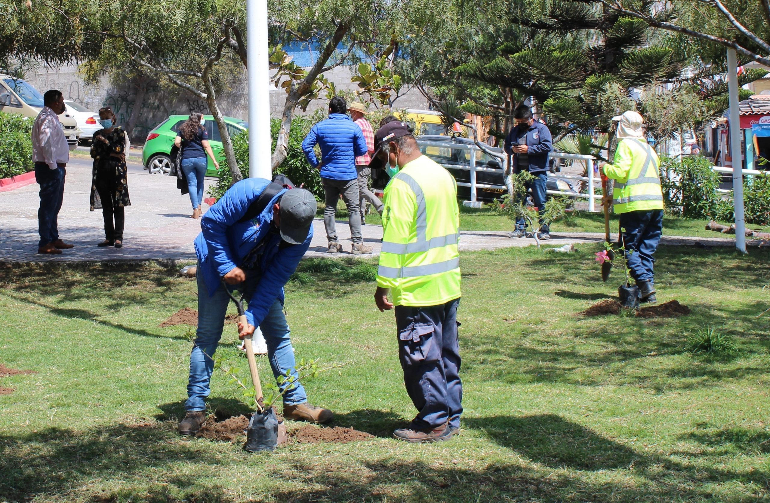 Vecinos de población Los Puquios de Iquique mejoran su plaza con nuevos árboles