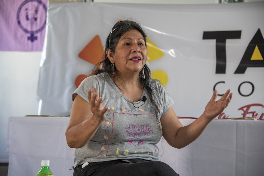 Cuenta popular constituyente en Huaviña: Se identifica actividad extractiva como una gran preocupación