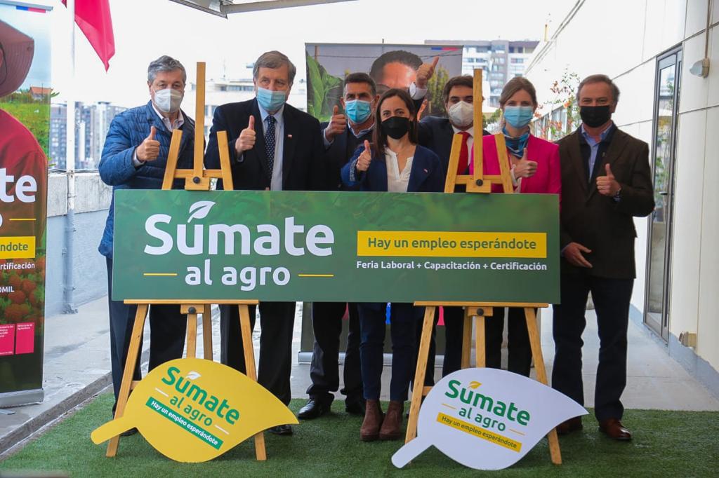 Ministerios del Trabajo y Agricultura llaman a postular a más de 5 mil vacantes de trabajo en el sector agrícola 