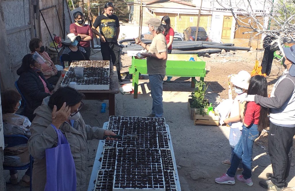 Comienza habilitación de Huerta Agroecológica en Junta de Vecinos N°20 Morro de Arica