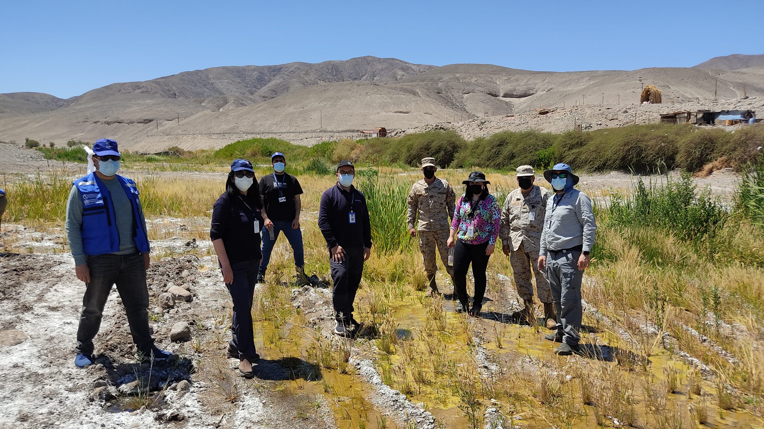 Fortalecen acciones de control ante presencia de mosquito Anopheles en el Tamarugal
