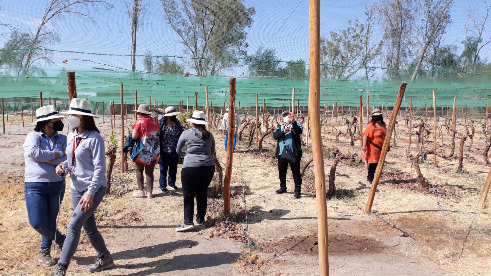 Adultos mayores inauguraron tour patrimonial a Matilla y Canchones