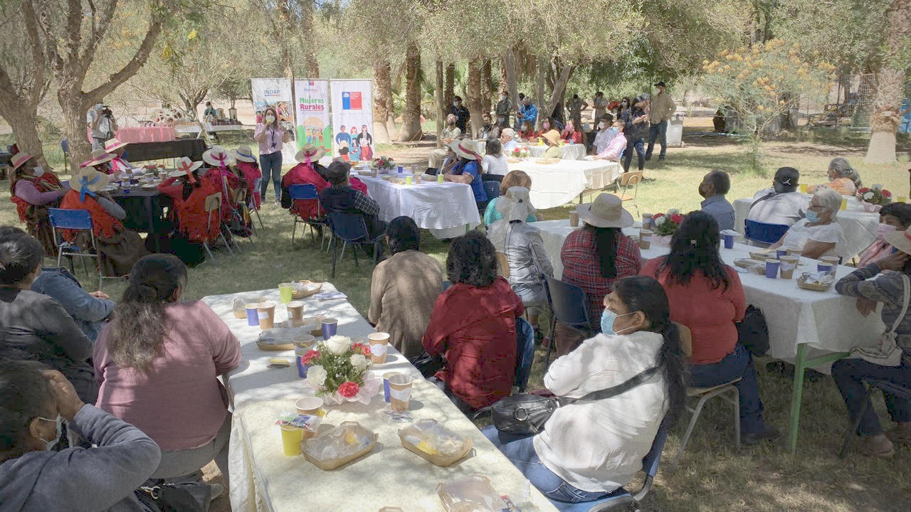 Mujeres rurales de la Provincia del Tamarugal fueron reconocidas en su día