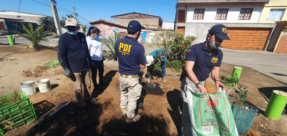 Vecinos, BIDEMA de la PDI y CONAF realizan arborización comunitaria en Barrio Salitreras Unidas