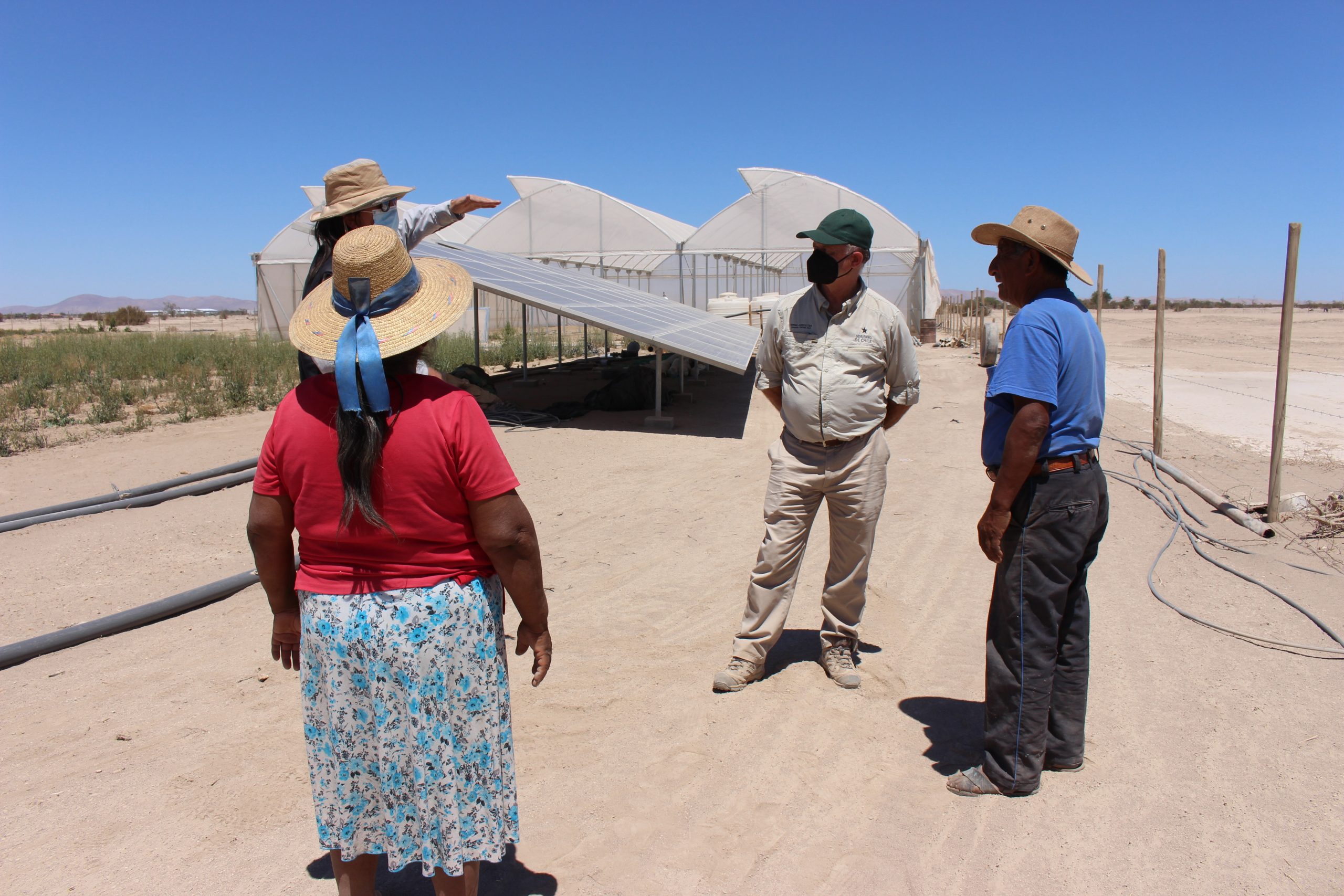 Invernaderos con tecnología europea se están instalando en La Tirana