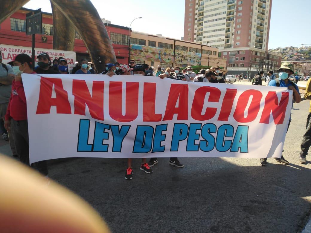 Pescadores: «La reineta es 100% artesanal». Denuncian competencia desleal