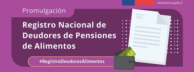 Registro Nacional de Deudores de Pensiones de Alimentos