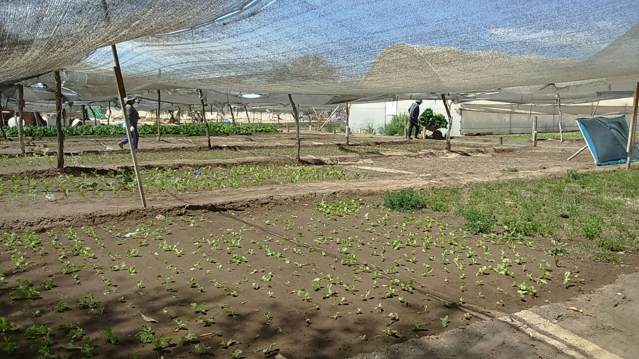 Programa de Desarrollo de Proveedores fortalece gestión de agricultores del Tamarugal