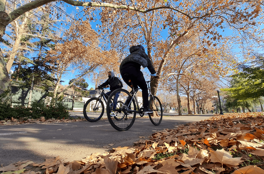 Cómo realizar ciclismo de forma profesional ante el boom del uso de la bicicleta post pandemia