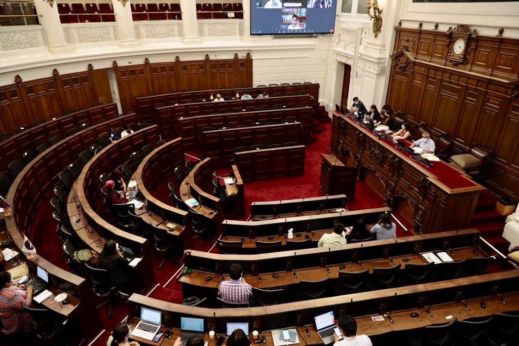 Comisión de Participación Popular aprueba admisibilidad de 97 iniciativas