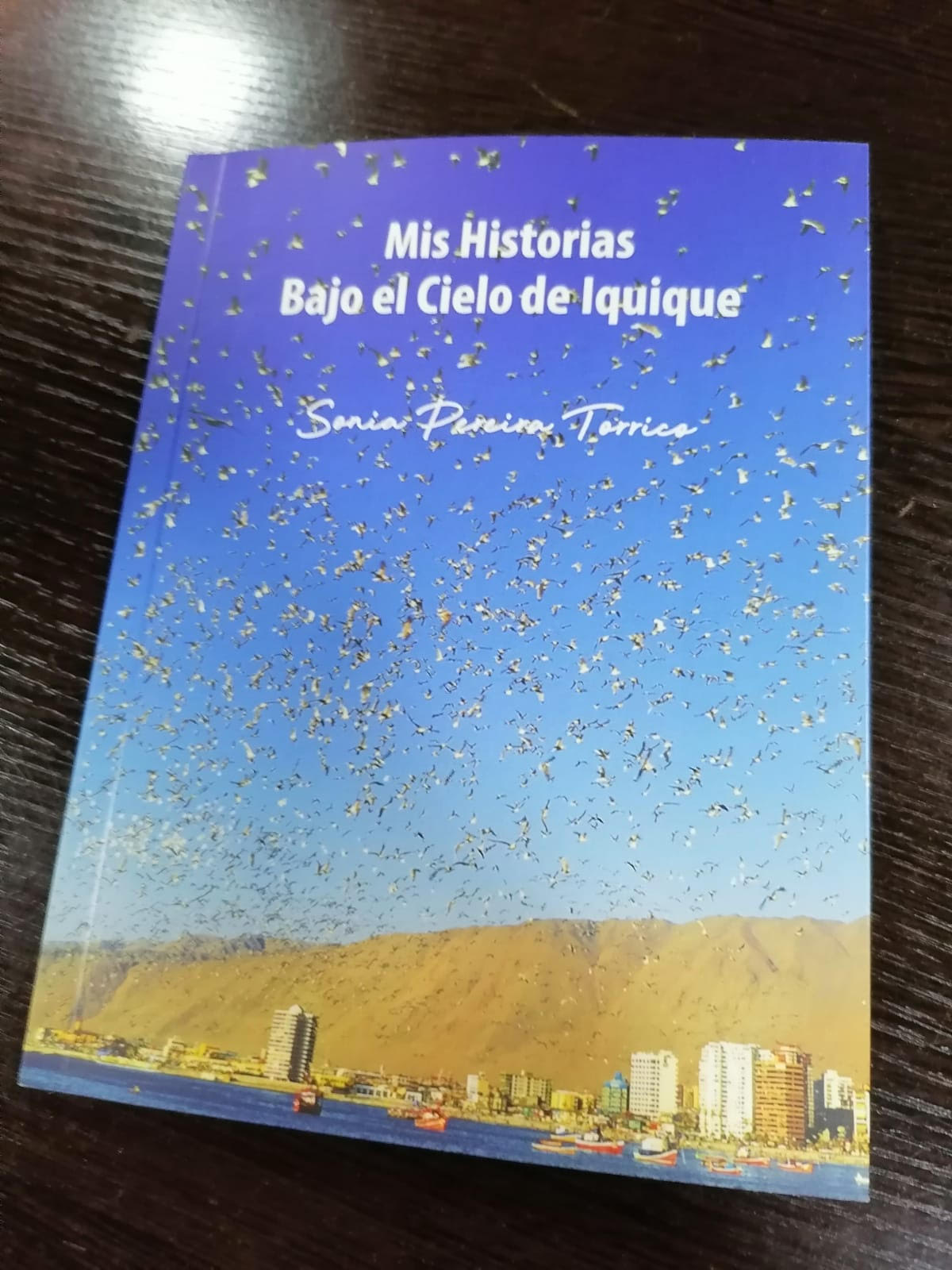 El Mejor Regalo de Navidad: «Mis historias bajo el cielo de Iquique»