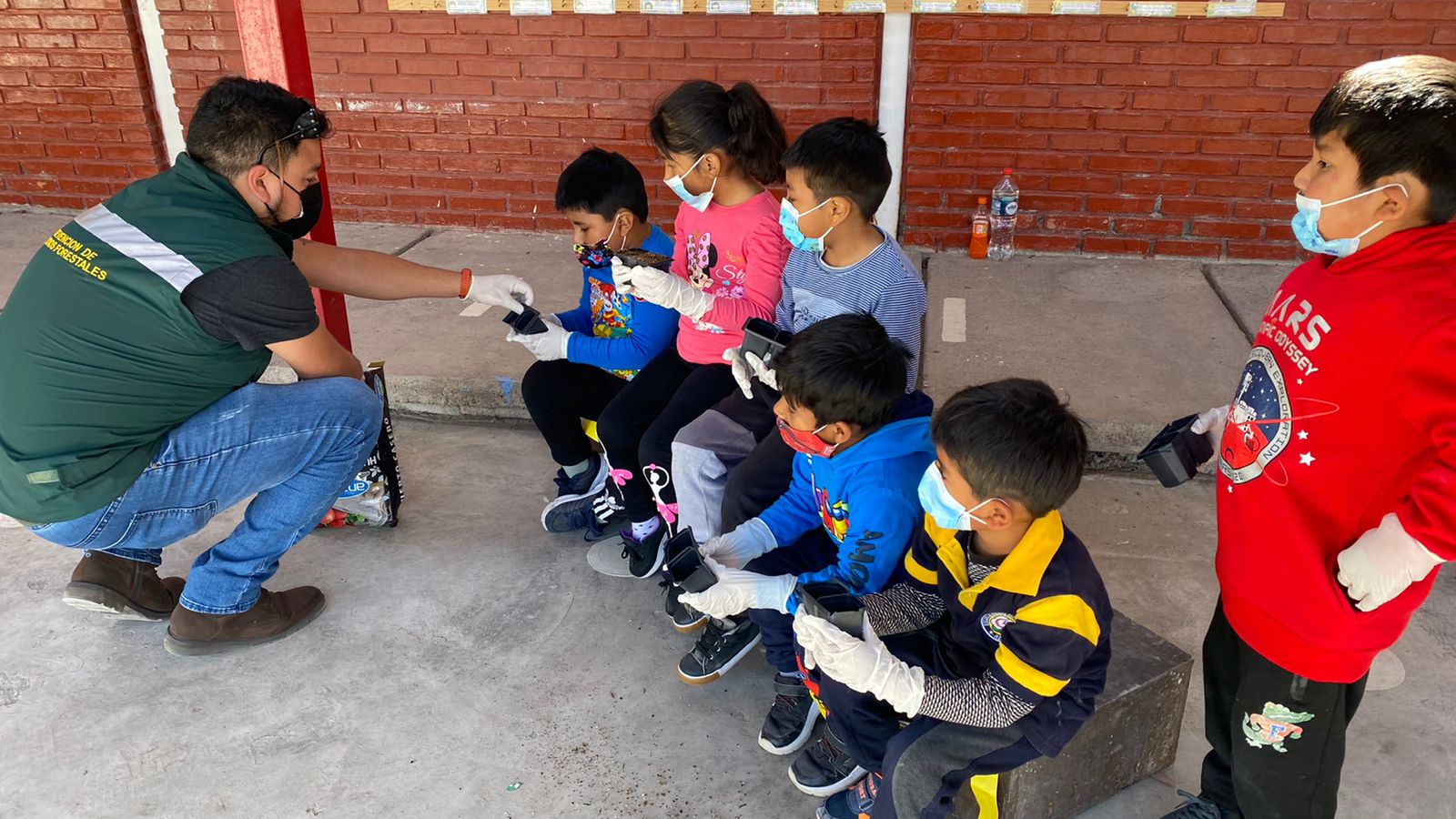 CONAF celebra Día Mundial de la Educación Ambiental destacando sus aportes￼