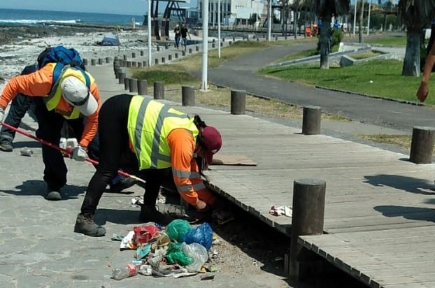 ¡Por fin! Intensifican control de roedores en parque Cavancha