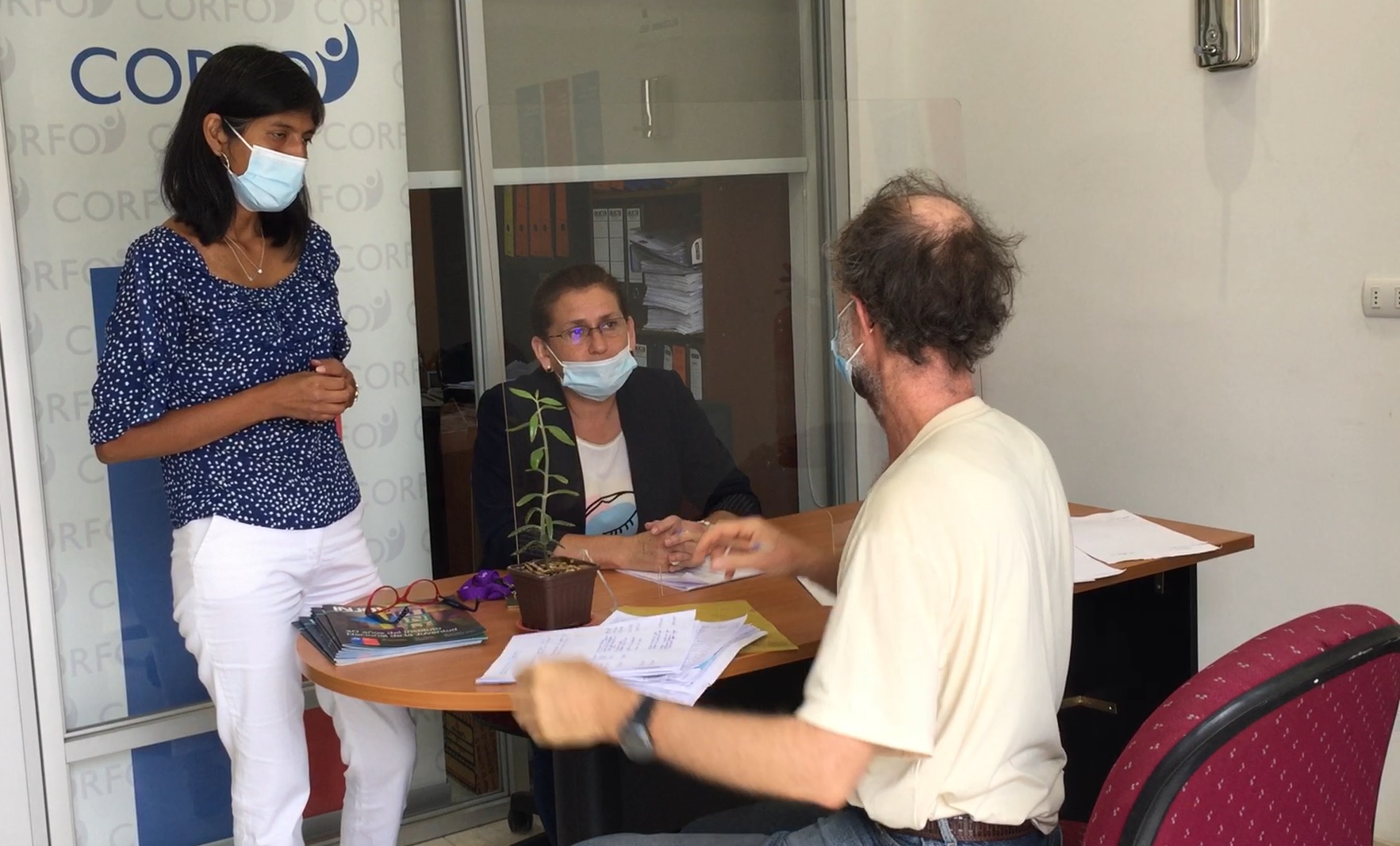 CORFO: Aumentaron un 25% las postulaciones al DFL-15 en Arica y Parinacota