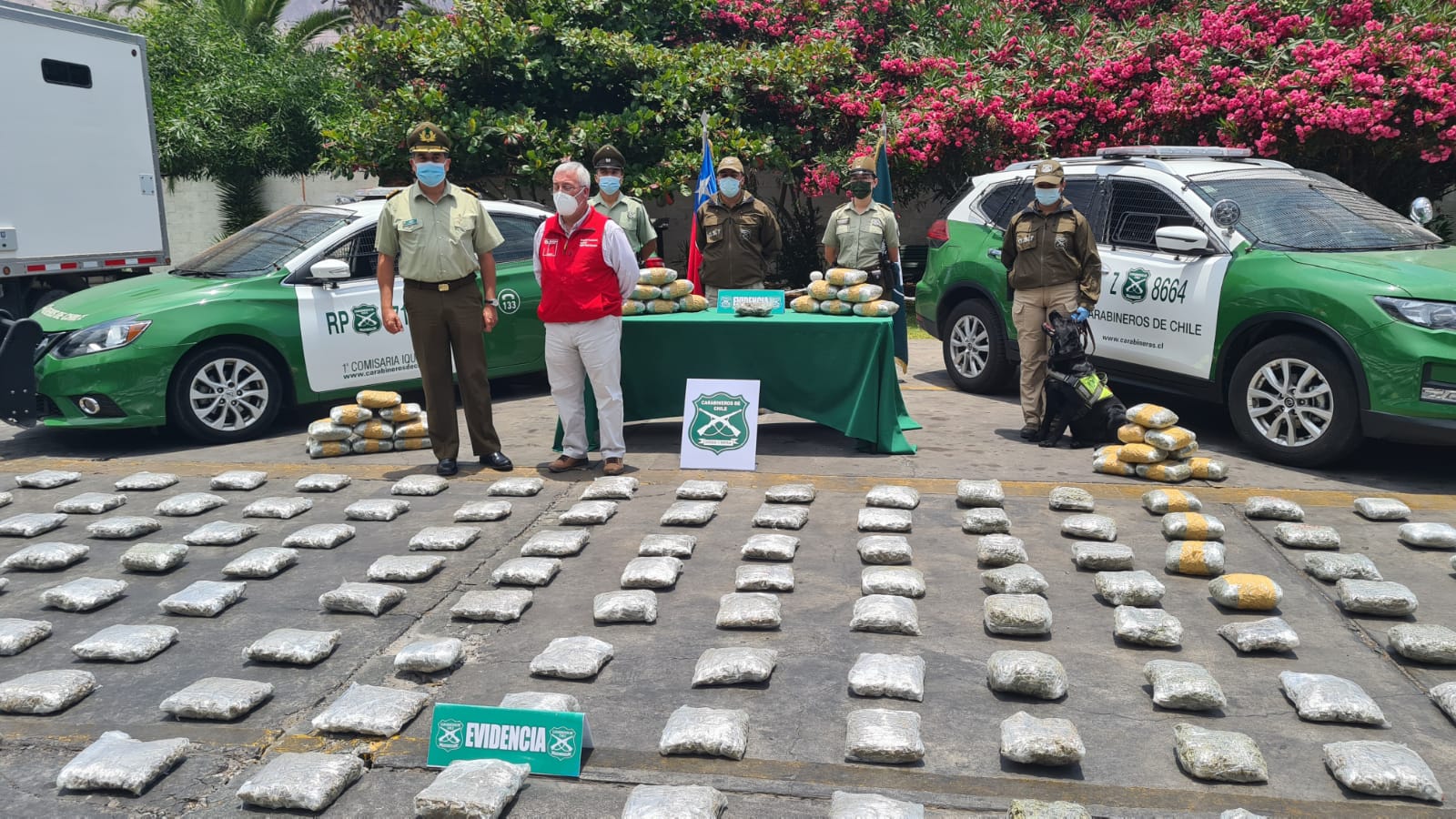 Colombiano acopiaba 152 kilos de marihuana cerca del sector costero del Río Loa