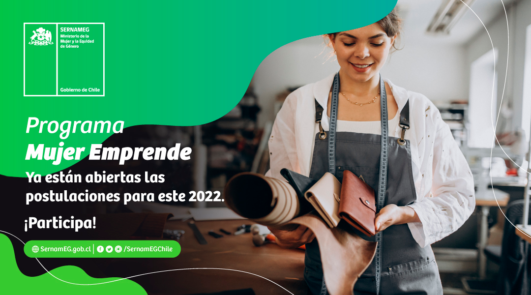 SernamEG Tarapacá abrió convocatoria online para capacitar el desarrollo del emprendimiento femenino