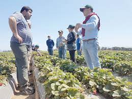Destinan $60 millones para desarrollar consultorías y eventos para la innovación agraria