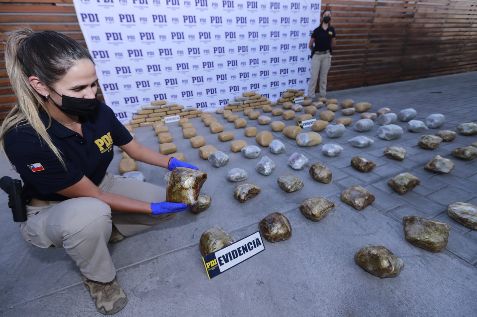 BRIANCO de la PDI incautó más de 100 kilos de drogas en domicilio de La Negra, Alto Hospicio