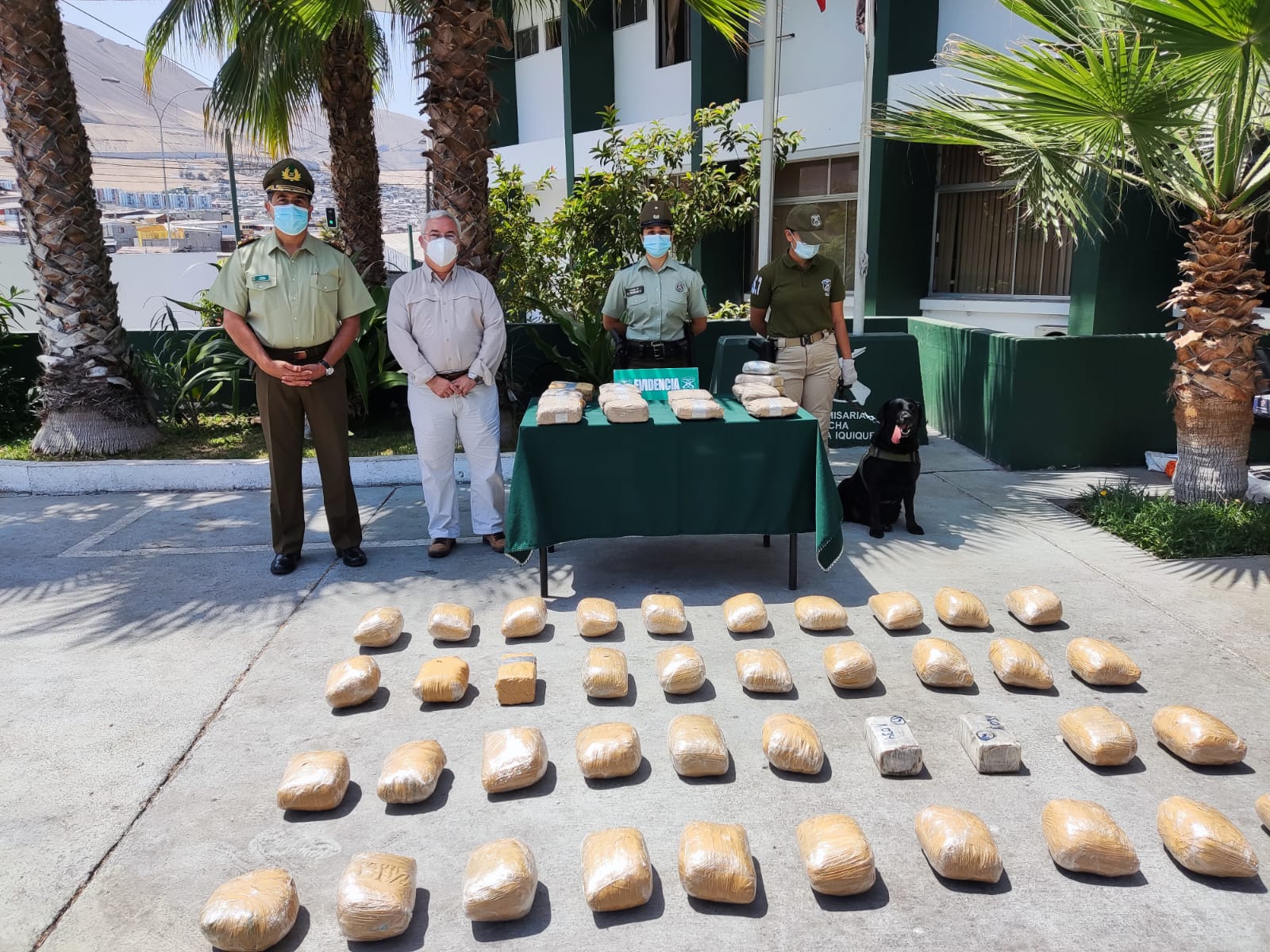 Carabineros del Retén El Loa incautan 51 kilos de marihuana y 4 de pasta base de cocaína; 6 extranjeros detenidos