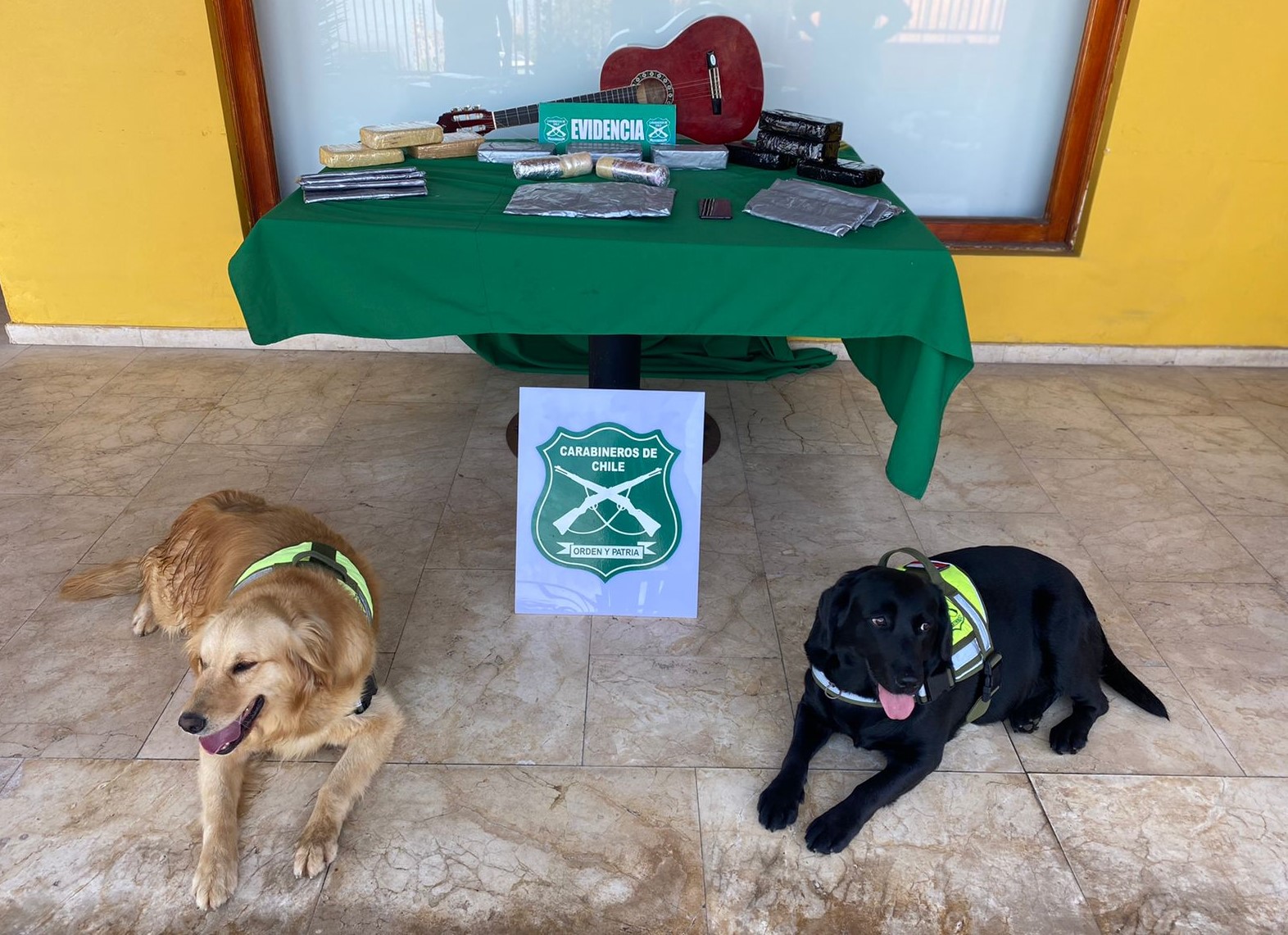 Perros detectores dieron con 14 kilos de pasta base de cocaína